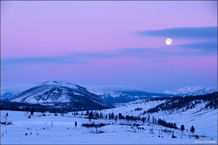 A setting full moon just before sunrise over the Gallatin Range. The image was taken from the Blacktail Deer Plateau in the northern...